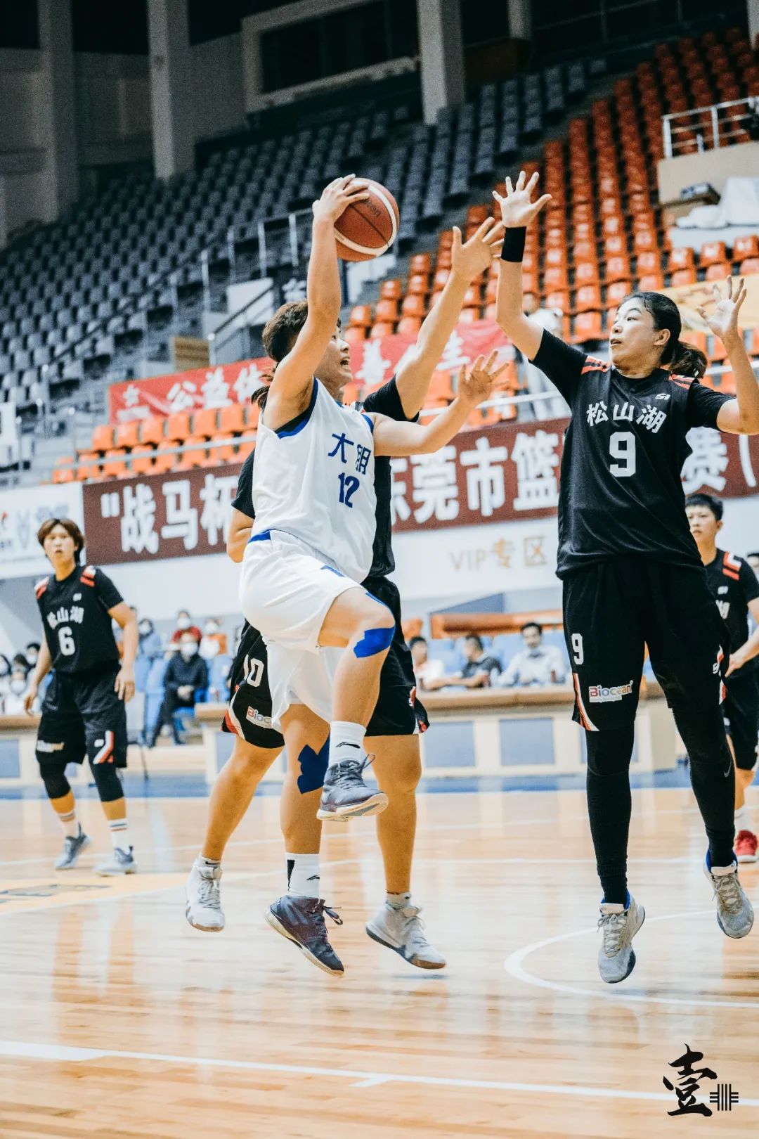 东莞篮球冠军联赛大朗多少次夺冠_东莞篮球冠军之夜庆典_东莞市篮球联赛冠军